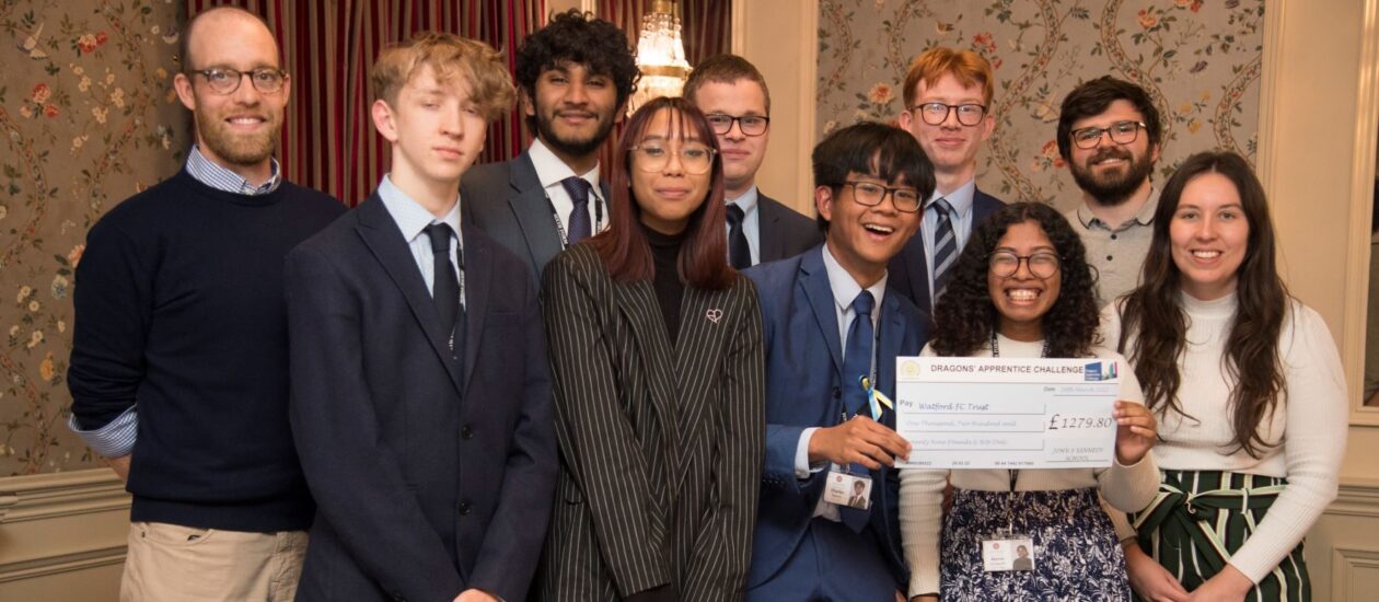 dragons apprentice -web